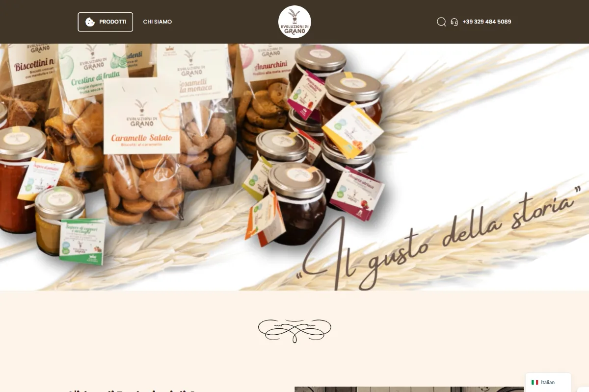 sito creato da Ivan Fiocchi Art director Milano e web designer