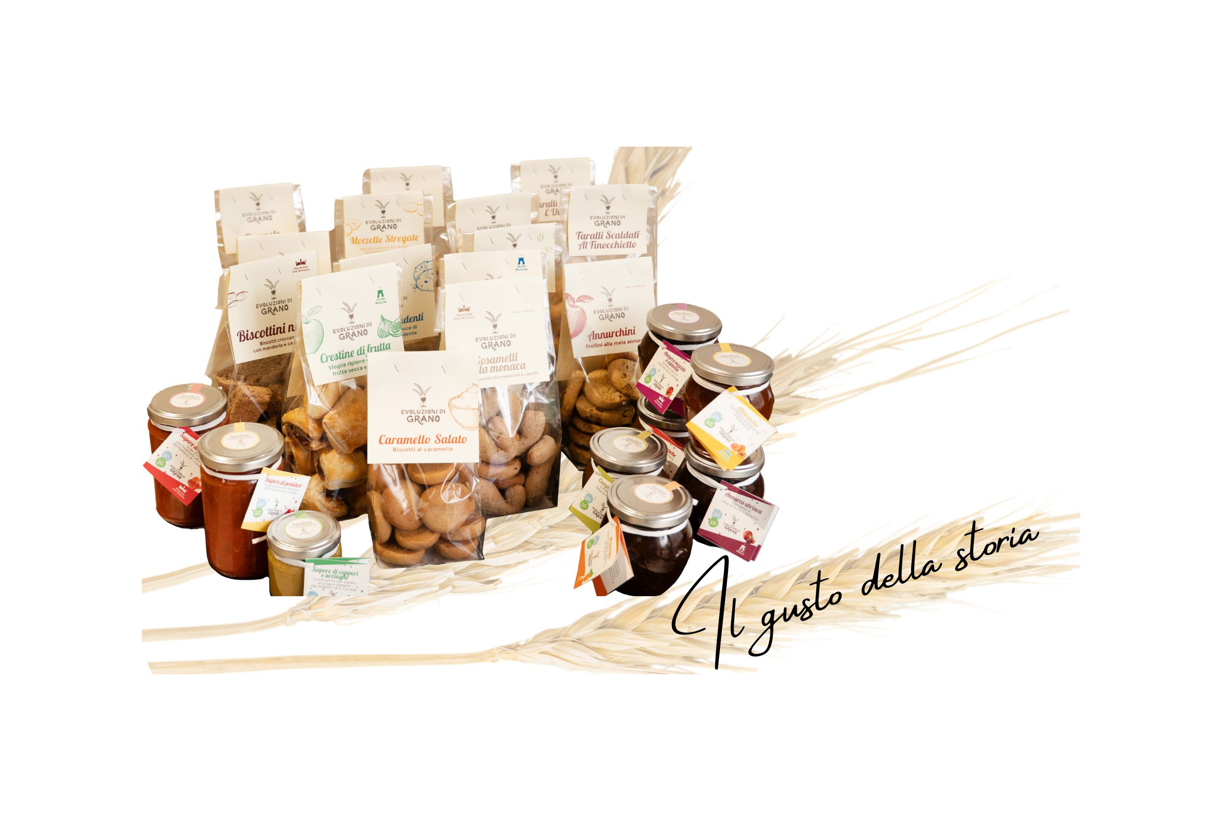 Sito web premium Evoluzioni di Grano realizzato da IF Web Agency – branding e art direction